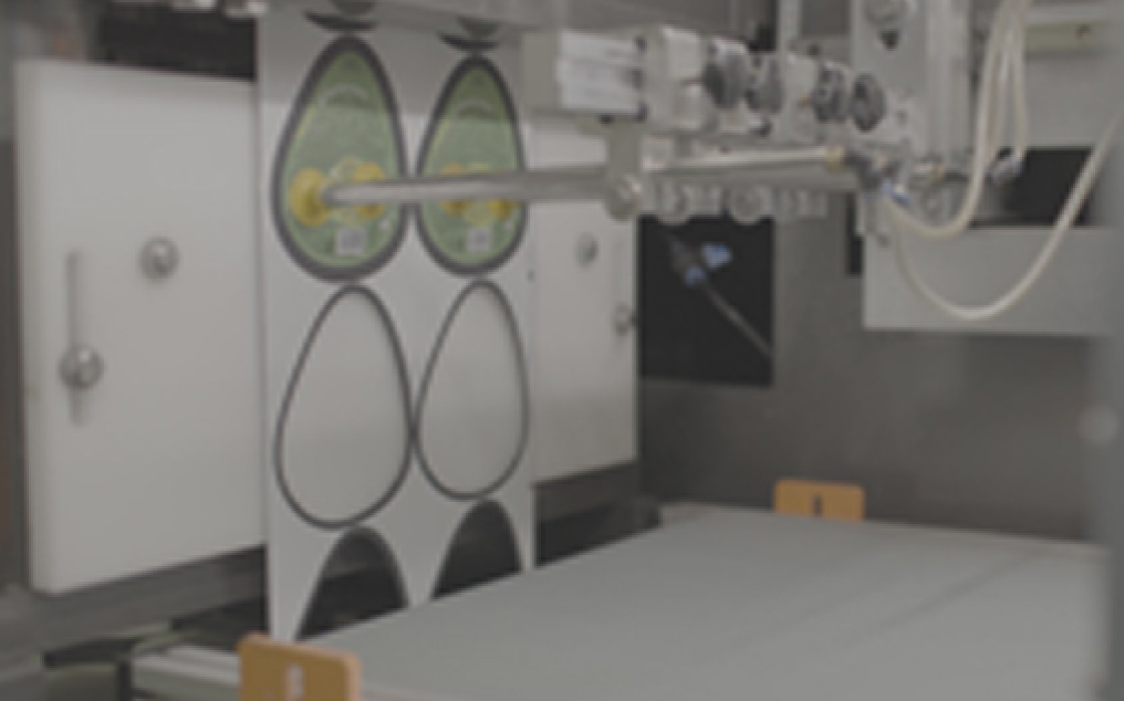 Facilities & CAPA